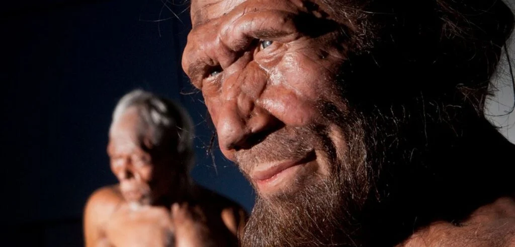 Secrets of Neanderthals : Netflix Documentary